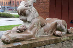 Bild-11
