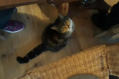 120454551_2652517821664060_286337770945404123_n