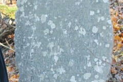 120568598_2652517828330726_1262736022098427180_n