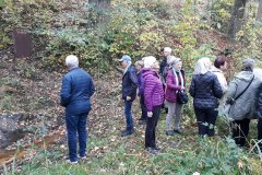 120703382_2652517704997405_1785625822945620655_n