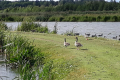 109796381_2589749897940853_6955426880929251601_n