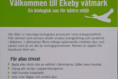 110095499_2589749874607522_4457260075563410954_n