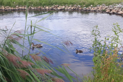 110175814_2589749927940850_374025130292954762_n