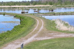 111057713_2589749954607514_3098260901950997266_n