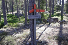 121003104_2656375397944969_720374380558000389_n