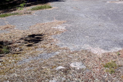 121091525_2656375341278308_2800812314689994780_o