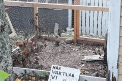 121251147_2656375291278313_9036471845835305316_n