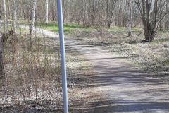 Bild-11