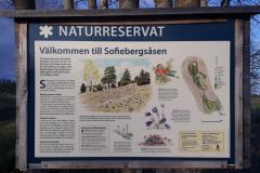 Bild-8