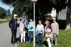 Bild-1