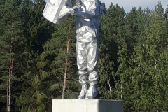 Bild-12