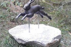 Bild-15