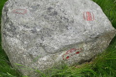 Bild-7
