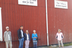 Bild-8