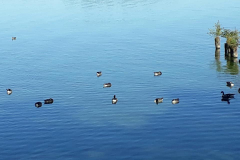 120002094_2639927812923061_8366272656136060445_n