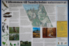 116265032_2595870520662124_3833936657969323187_n