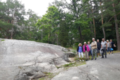 116358251_2595870290662147_4748663793330542395_n