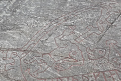 116435385_2595870460662130_3878672096538053338_n