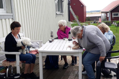 116795028_2595870357328807_780181618973294318_n