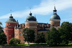 117040438_2599552660293910_1025110401252197831_n