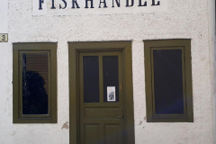 117294035_2599553050293871_8289490411275569671_n