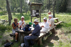Bild-10