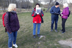 Bild-7